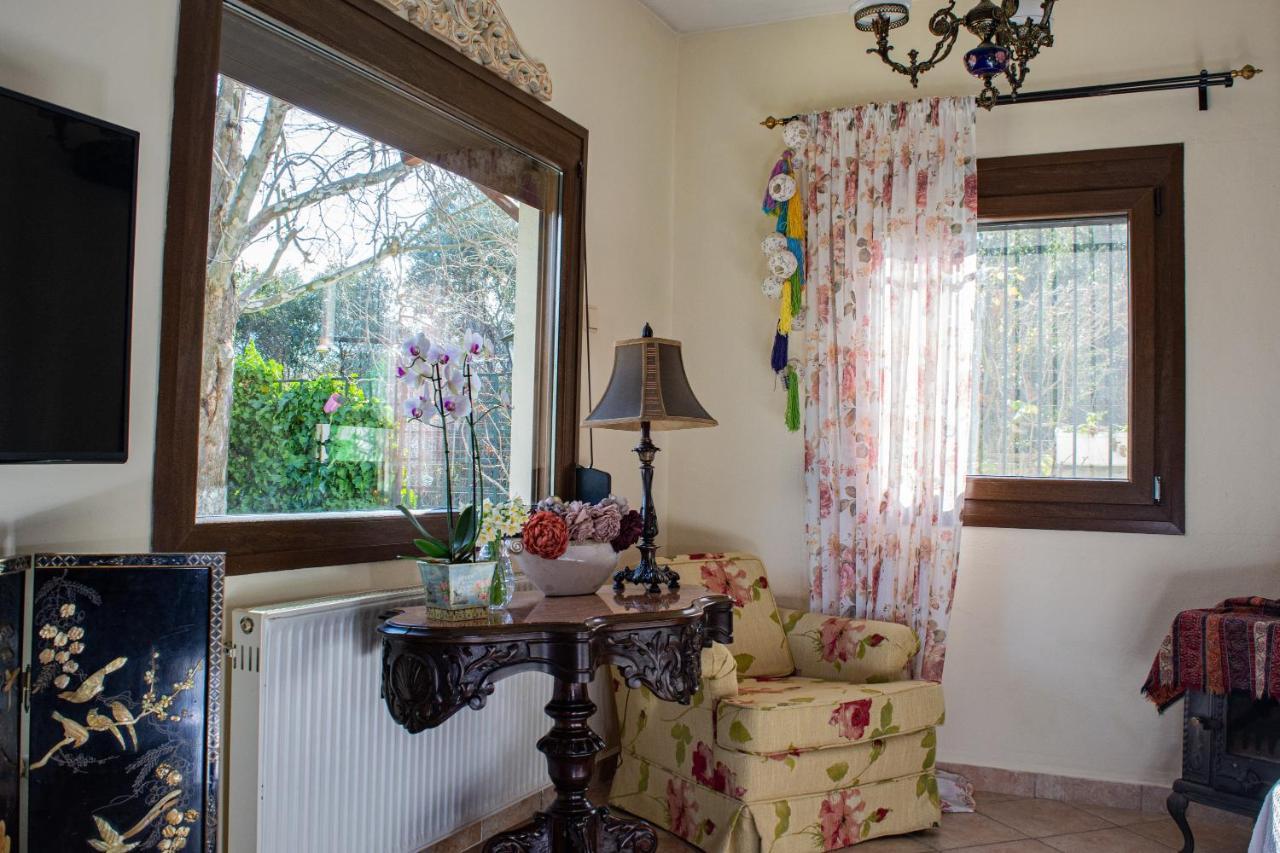 דירות PalaiónTsiflíkion Sofia'S House מראה חיצוני תמונה